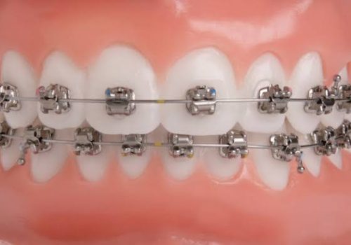 WhatsApp Image 2026-01-04 at 7.12.09 PM