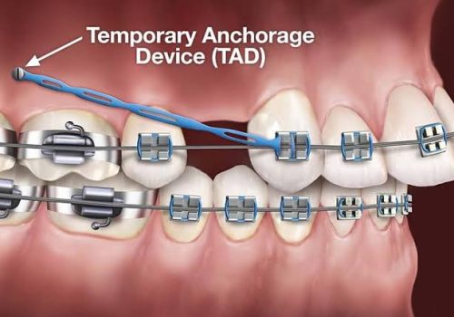 WhatsApp Image 2026-01-04 at 7.18.01 PM