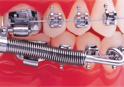 WhatsApp Image 2026-01-04 at 7.20.06 PM