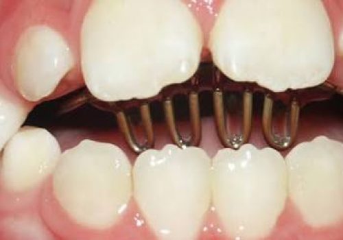 WhatsApp Image 2026-01-05 at 1.34.26 PM